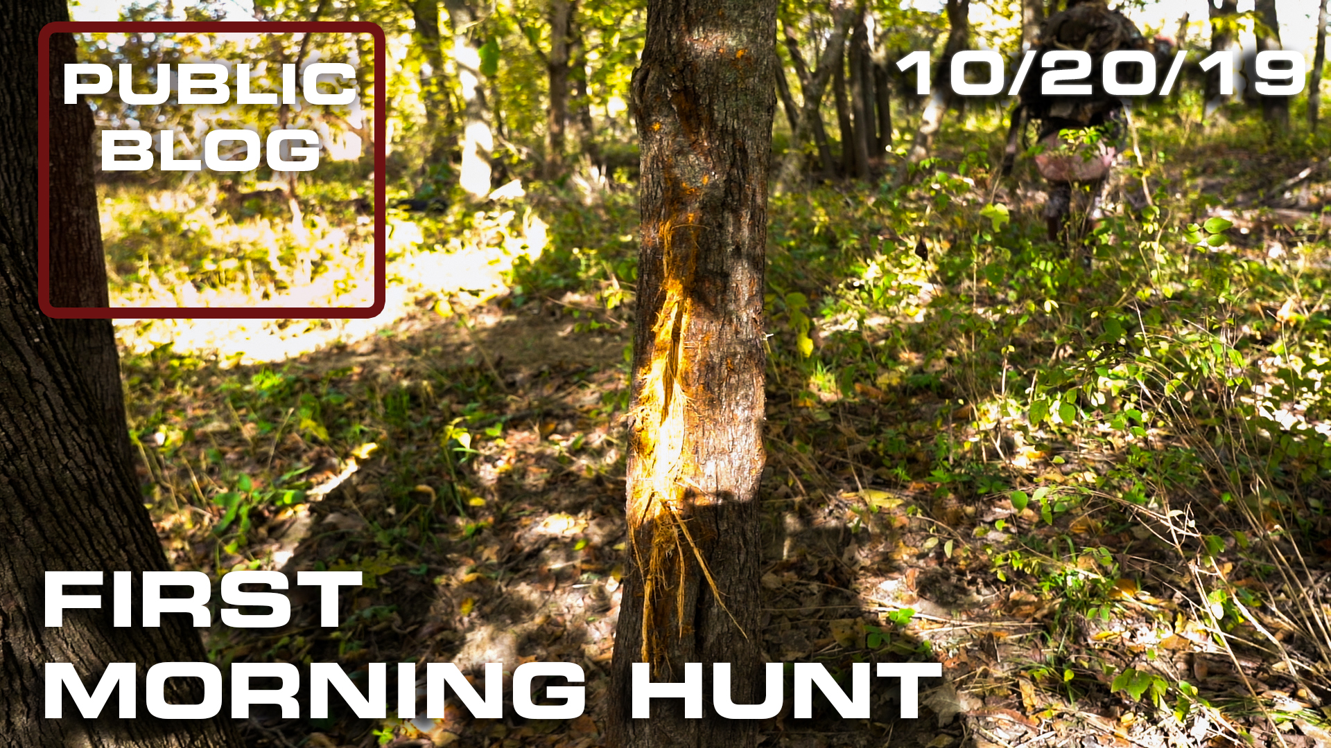 Public Land Blog | First Morning Hunt 
