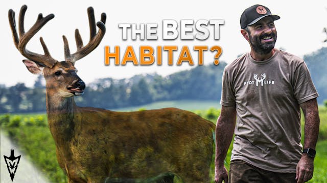 Mike’s Overlooked Secrets For Finding...