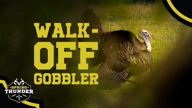 Turkey Hunting in Maryland | Blanton'...