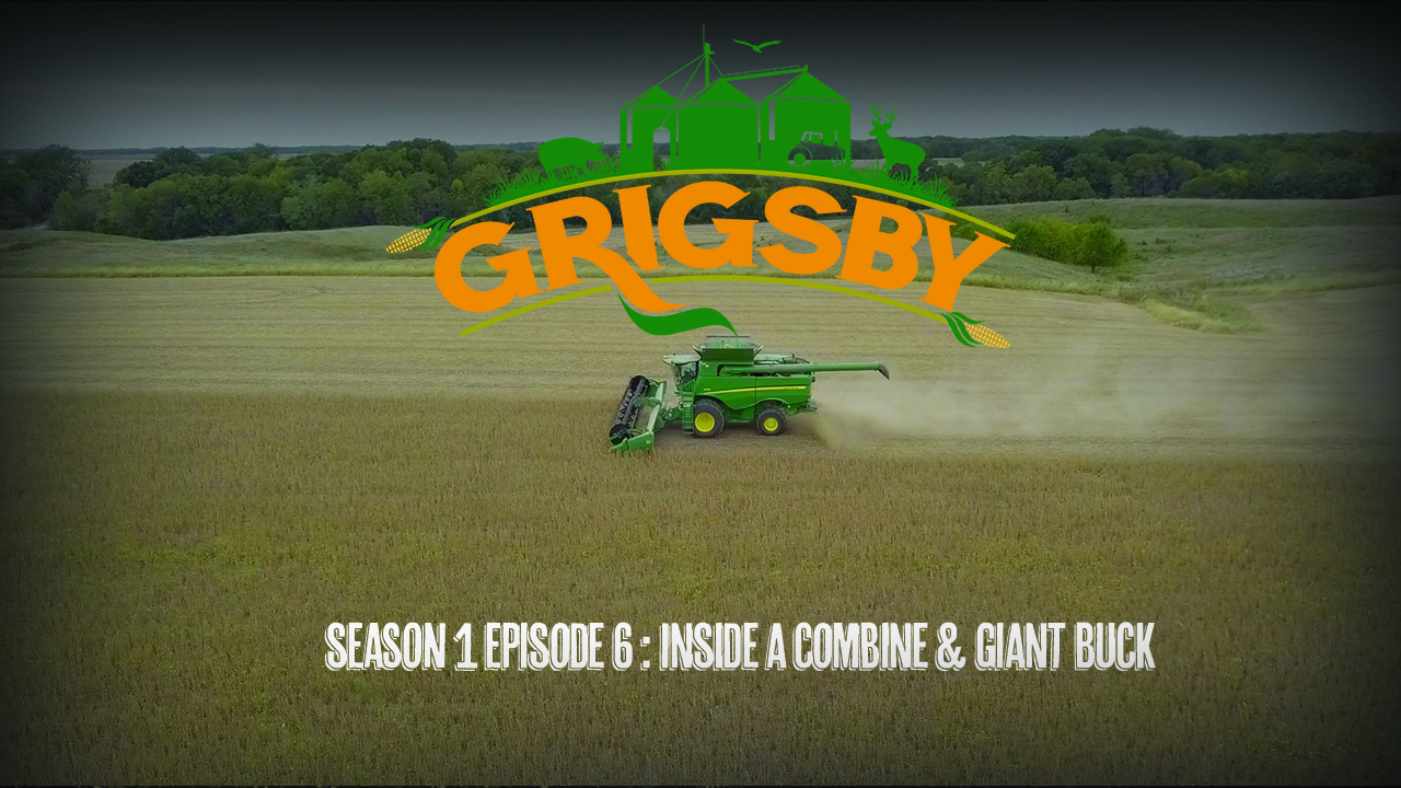 Harvest Time, Plus a Giant Buck Encounter