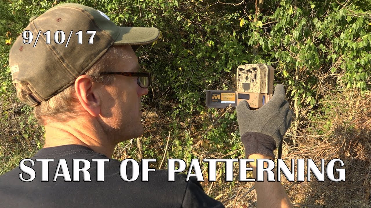 Winke's Blog: Start Of Patterning