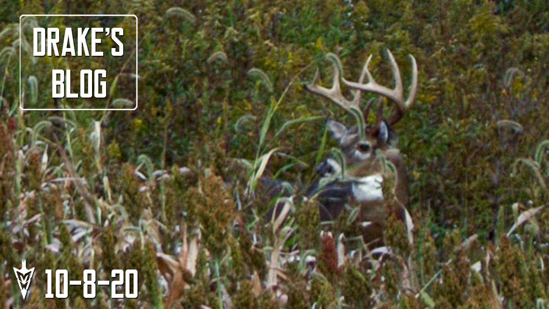 Drake's Blog: Hunting Winke's Old Farm | The Bladed Ten Falls