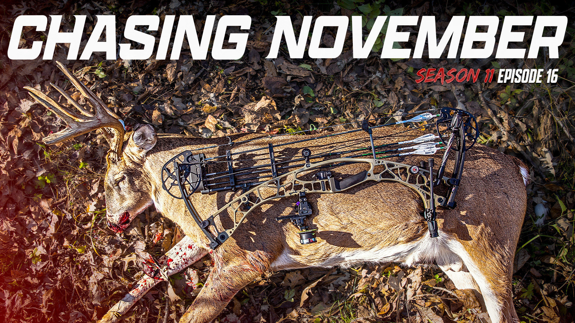 E16: Josh Tags Out At 10 Yards, Calling A Buck Off A Hot Doe