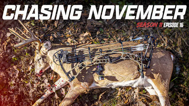 E16: Josh Tags Out At 10 Yards, Calli...