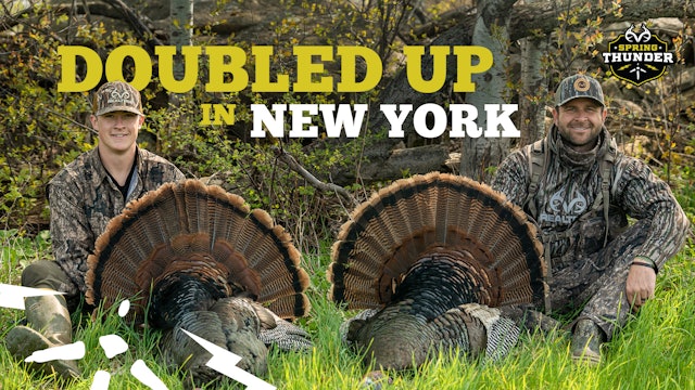 New York Turkey Hunting | Permission-Ground Gobblers | Spring Thunder