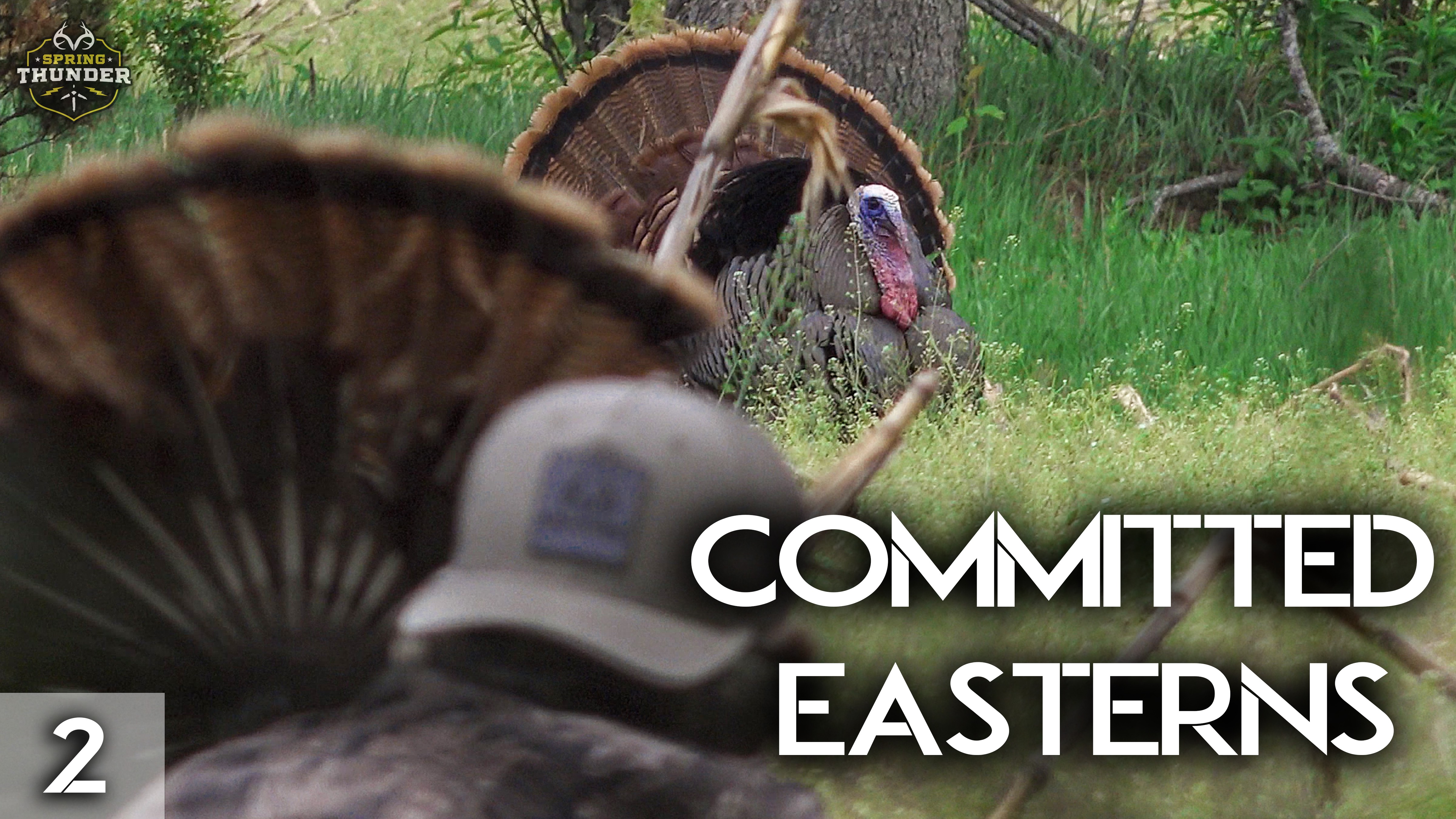 Drake Lamb Steamrolls a Gobbler | Wisconsin Turkey Hunting | Spring Thunder