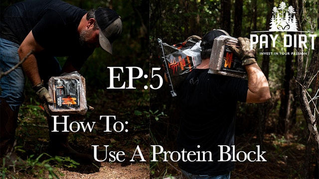 How to Use a Protein Block | PayDirt