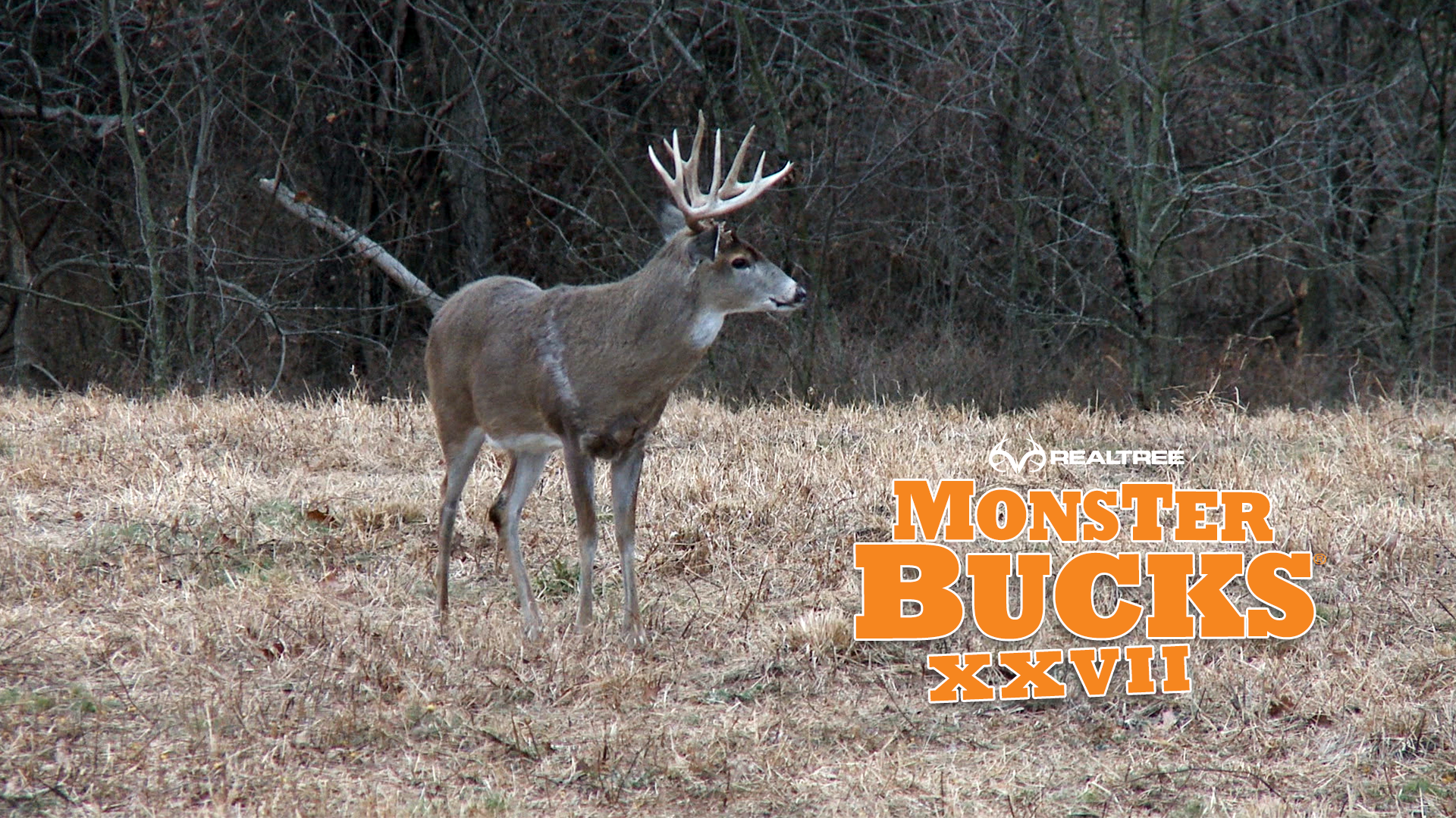 Jason Aldean's Missouri Monster