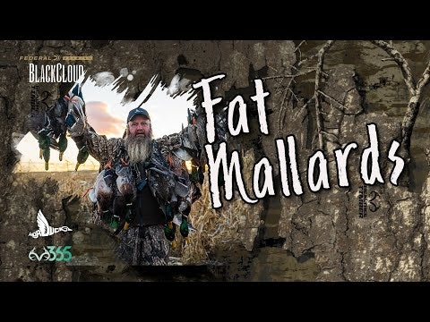 Duck Hunting Some Big, Fat Mallards | Riding the Hole | Black Cloud
