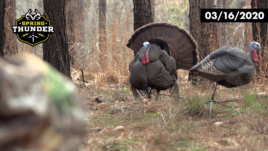 Gobbler at 15 Steps | Georgia Youth Season Turkey Hunt | Realtree Spring Thunder