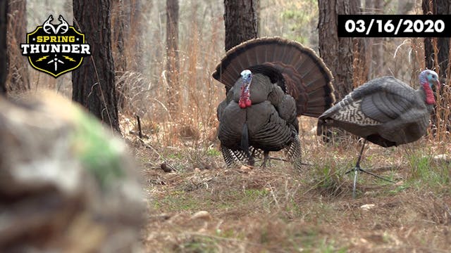 Gobbler at 15 Steps | Georgia Youth S...