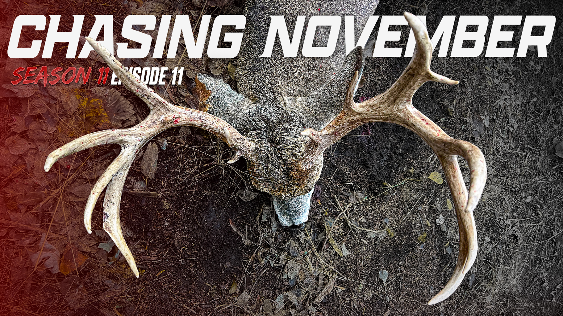 E11: Kansas Hammer Comes To The Rattle, The Biggest Buck In The Woods