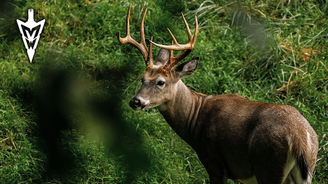 Opening Weekend In Kentucky, New Arrow Setups | Midwest Whitetail