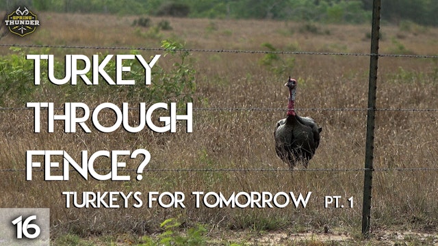 Gobbler at the Fence?!? | Turkeys for Tomorrow Sweepstakes Hunt | Spring Thunder