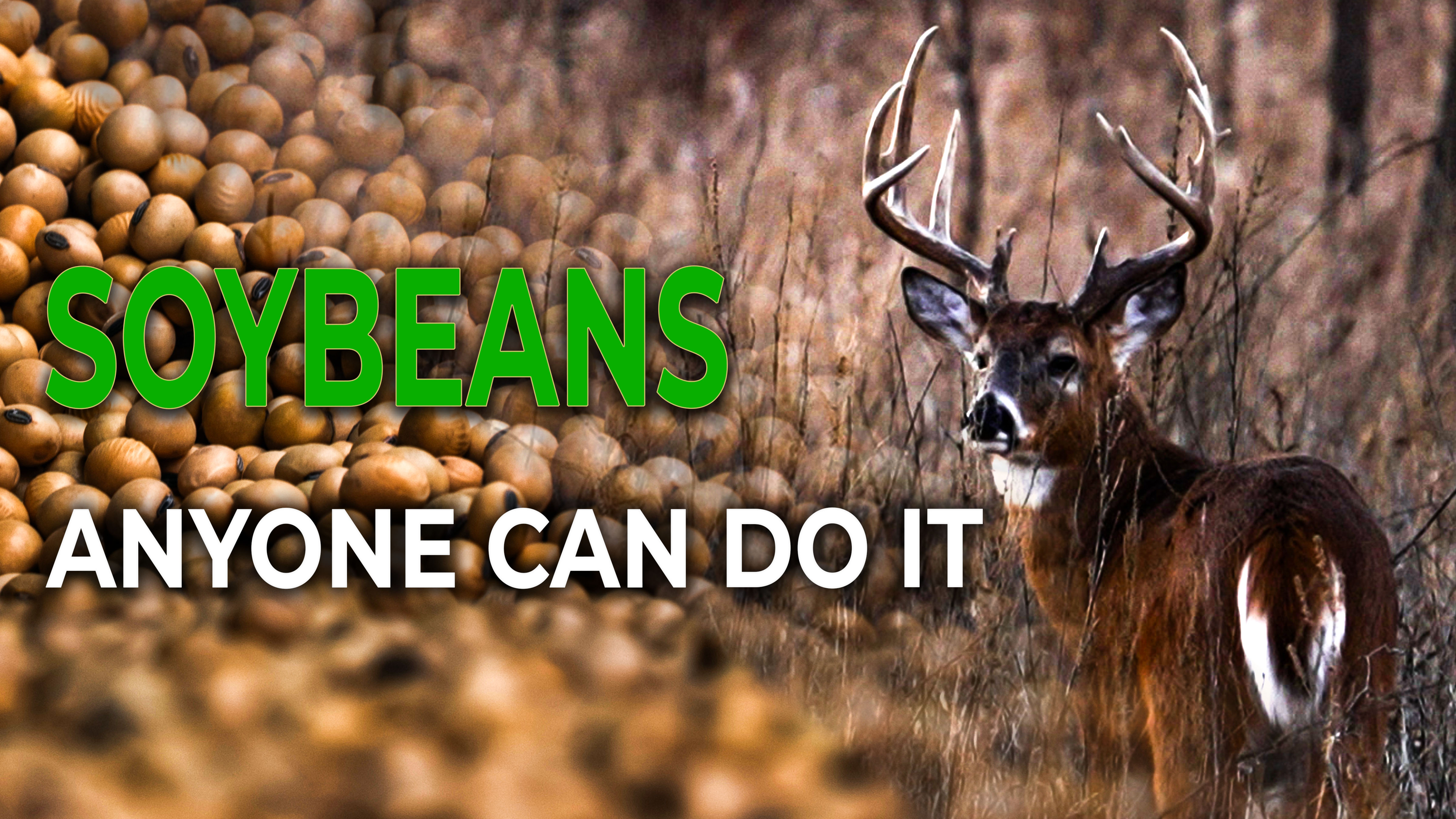 Change Your Hunting In A BIG Way, Planting Beans IS For You