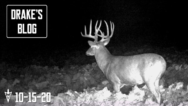 Drake's Blog: First Hunt for a Giant Buck | Cold Front Action in Iowa