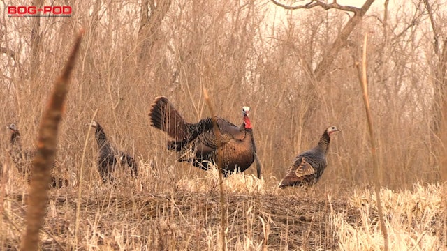 Spring Thunder: 15 Must-Have Turkey Products - Bowhunter