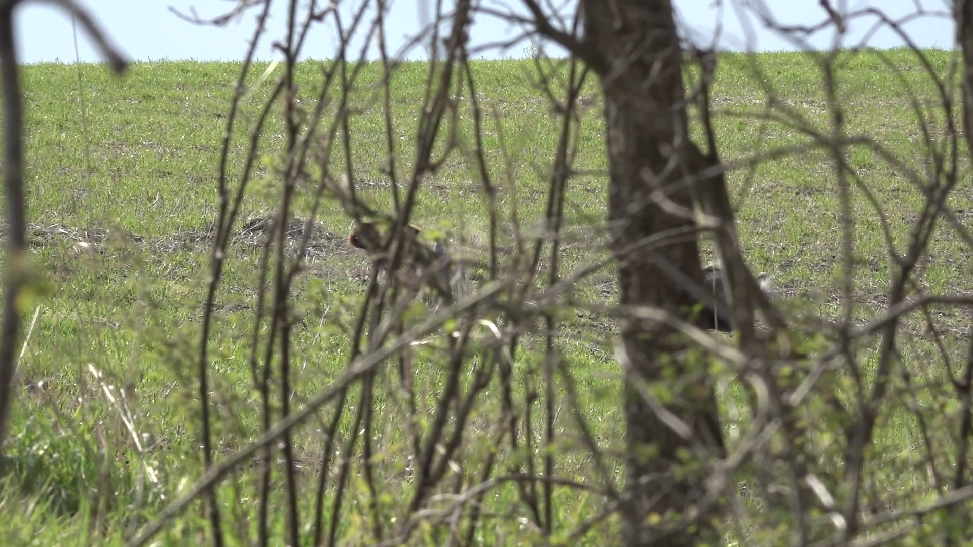 The Hunt United 2020 Spring Turkey Season Recap | Hunt United
