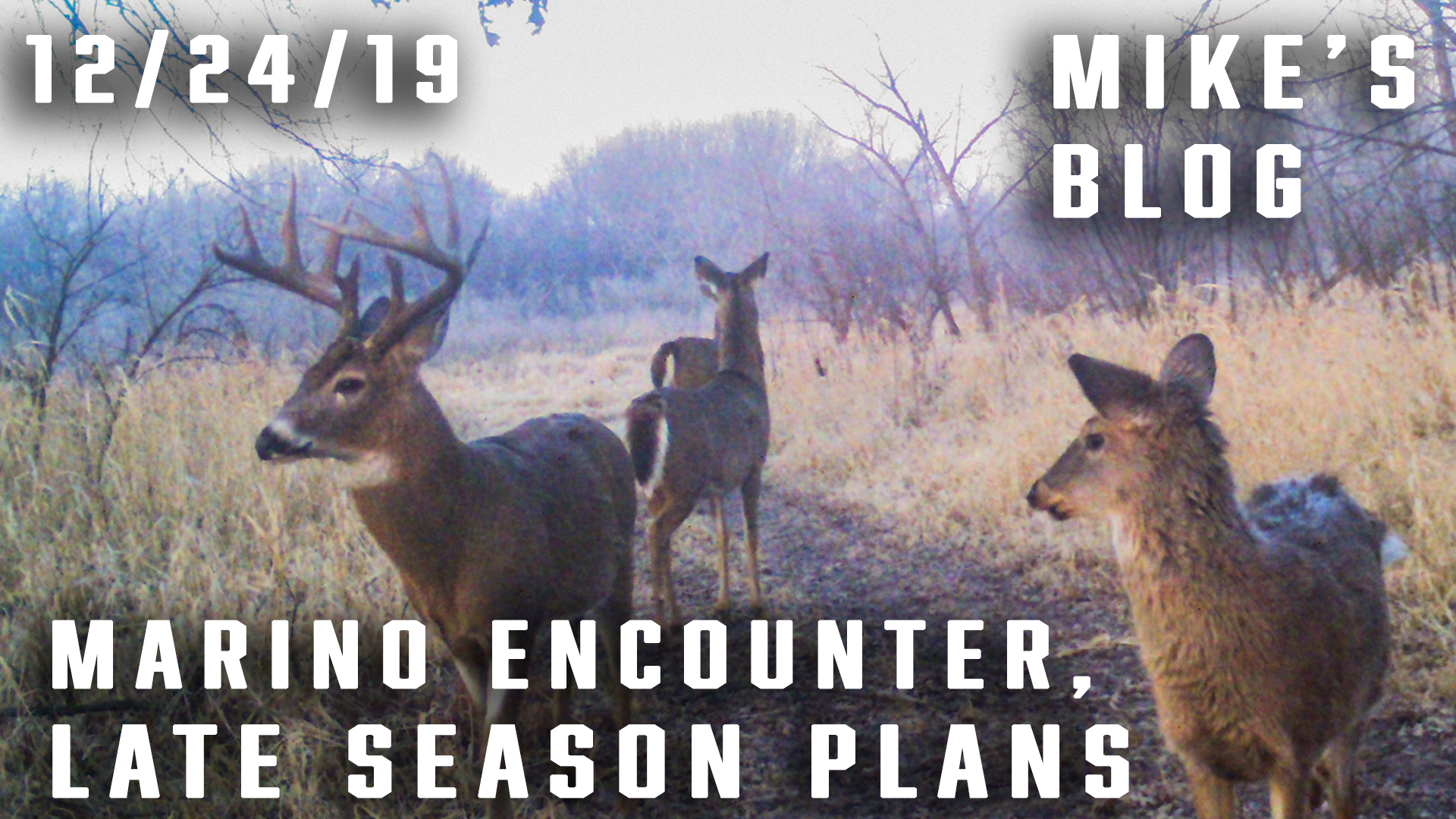 Mike's Blog: Marino Encounter, Late Season Plans