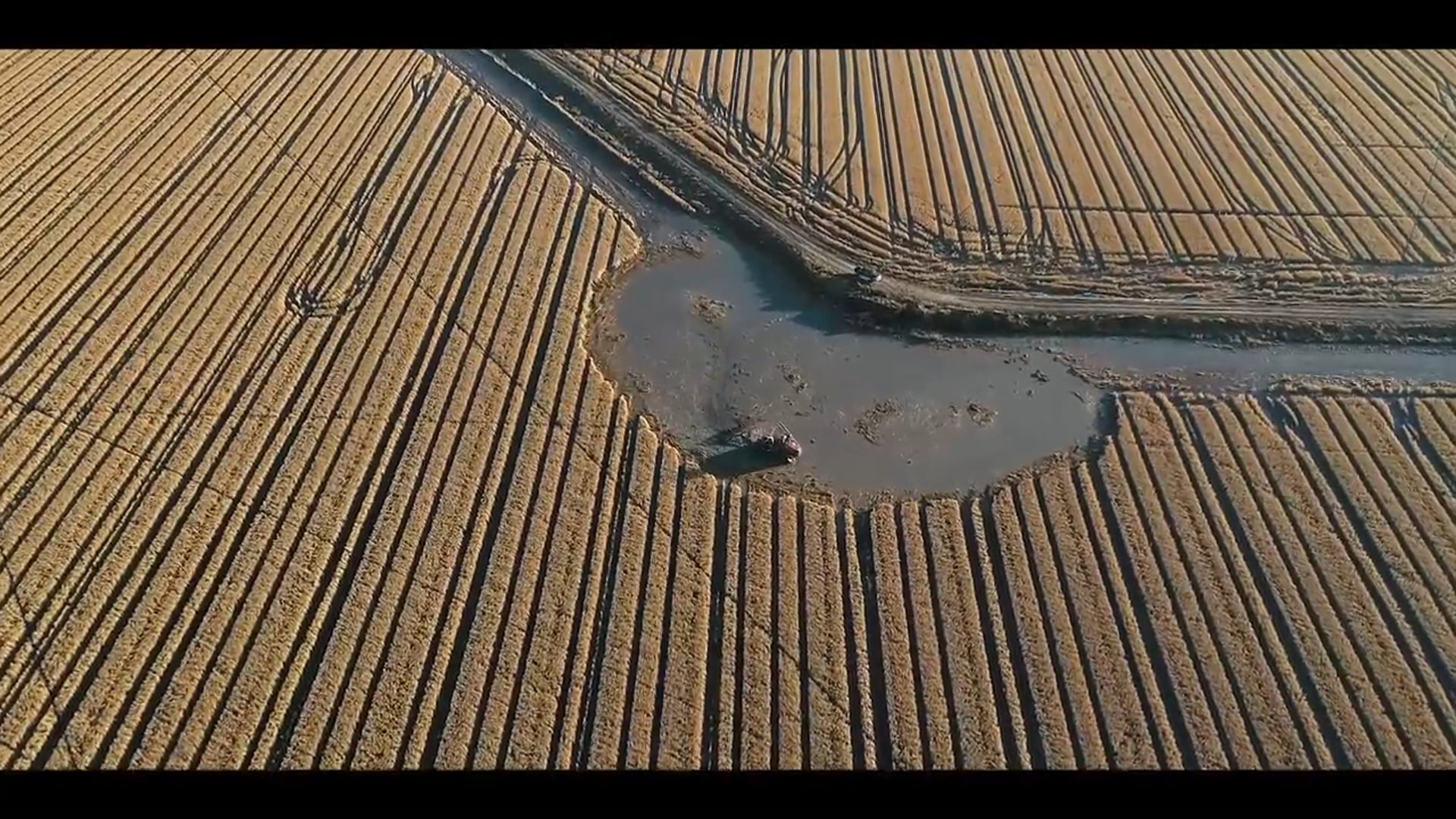 Flooding Fields for Ducks | Pumping Water for Waterfowl | DayBreak Outdoors