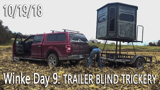 Winke Day 9: Trailer Blind Trickery