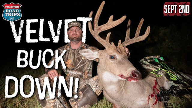 Opening-Week Velvet Buck | Bucks and Doves | Realtree Road Trips