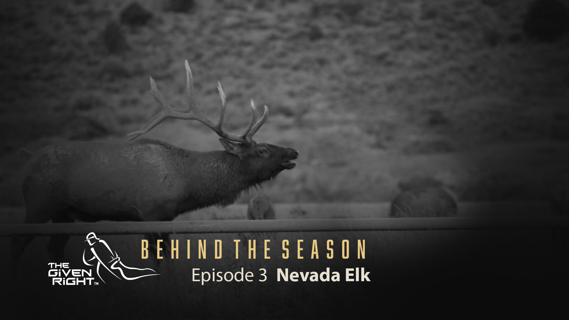 Bowhunting Rutting Nevada Elk | Behind the Season (2020) | The Given Right