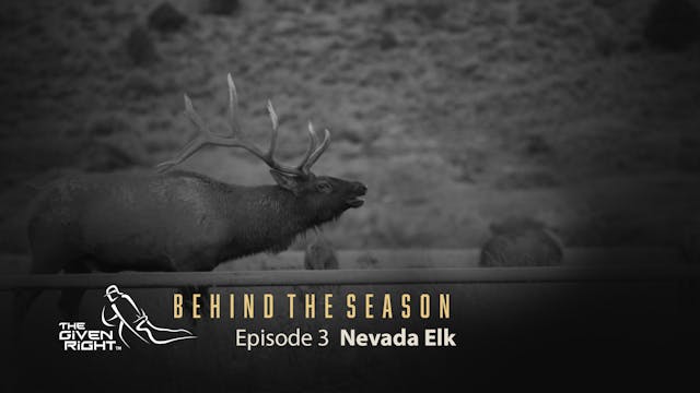 Bowhunting Rutting Nevada Elk | Behin...