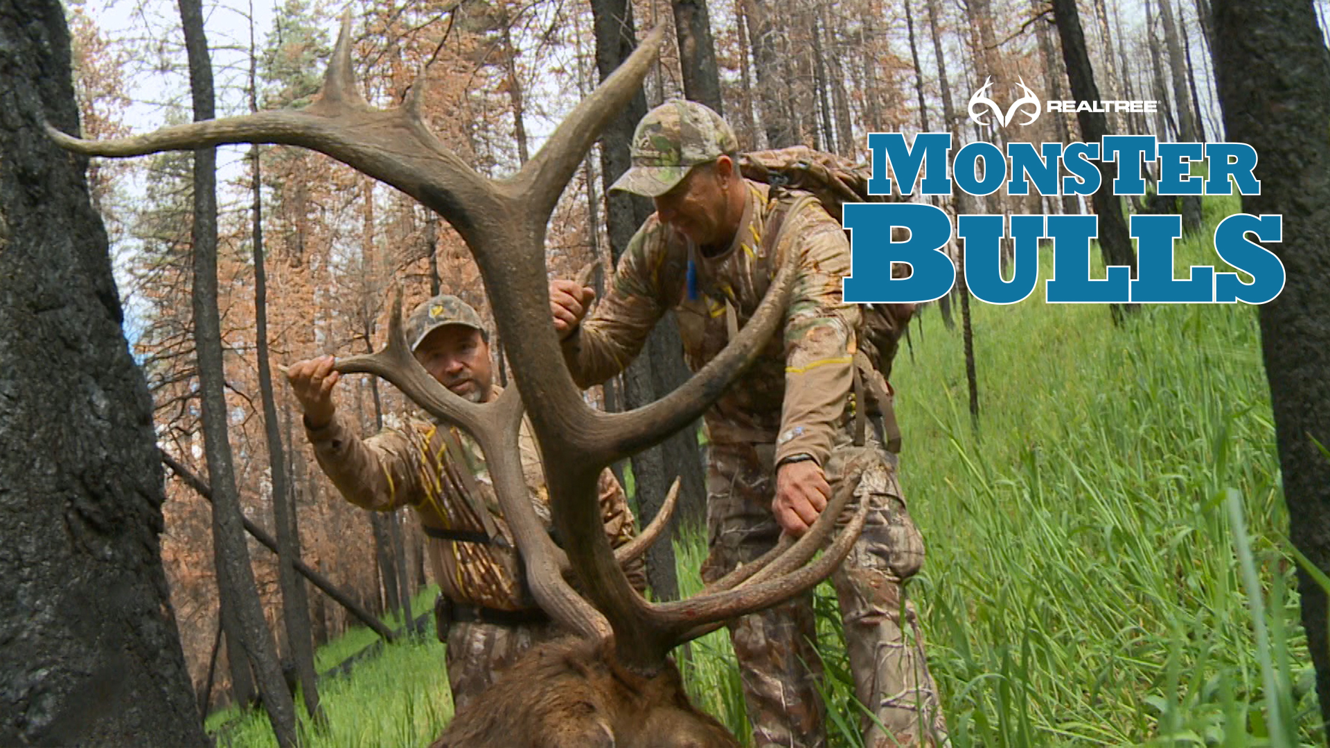 Chess Match in Gila National Forest | David Blanton Has Elk All Around Him 