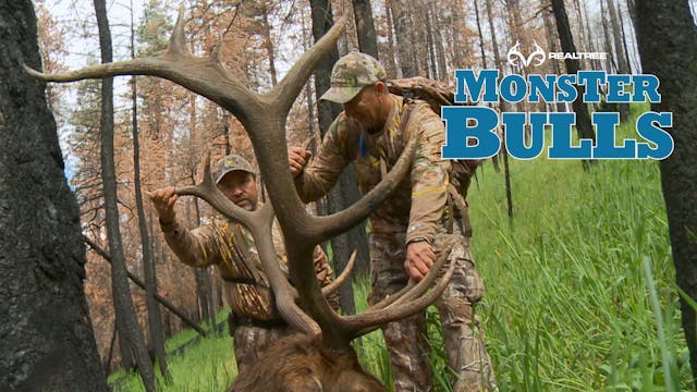 Chess Match in Gila National Forest |...