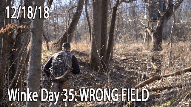 Winke Day 35: Wrong Field