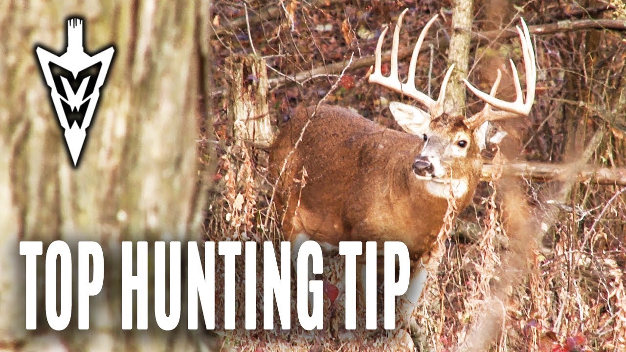 5-27-19: Deer Hunting’s Cardinal Rule, Keep them in the Dark | Midwest Whitetail