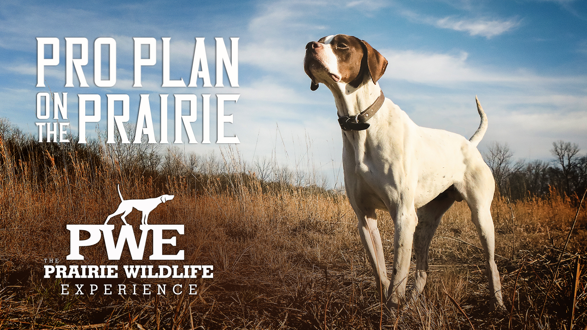PRO PLAN on the Prairie | Purina Fuels Proficiency | Prairie Wildlife Experience