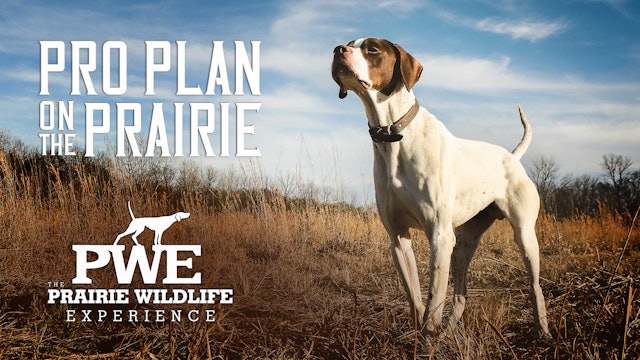PRO PLAN on the Prairie | Purina Fuels Proficiency | Prairie Wildlife Experience