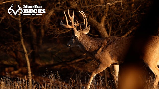 Cole Cannon's Kansas Bow Buck | Monster Bucks XXXI (2023)