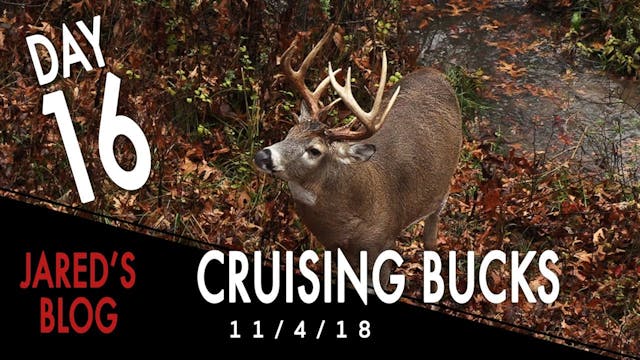 Jared's Blog: Rainy Day Bucks