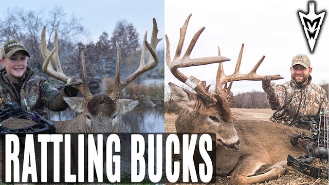 11-19-18: Rattling In Two Giants | Midwest Whitetail