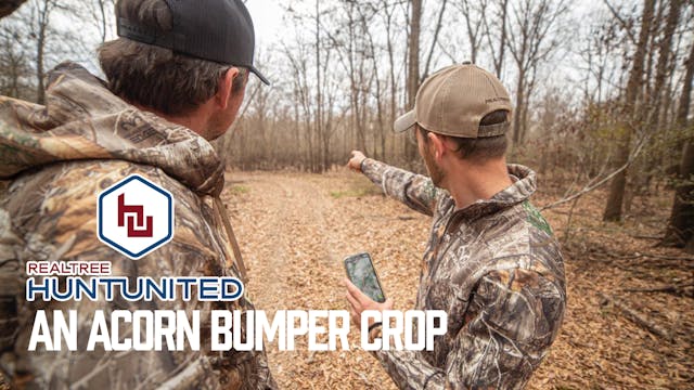 Mast Crop Count: A Bunch of Acorns