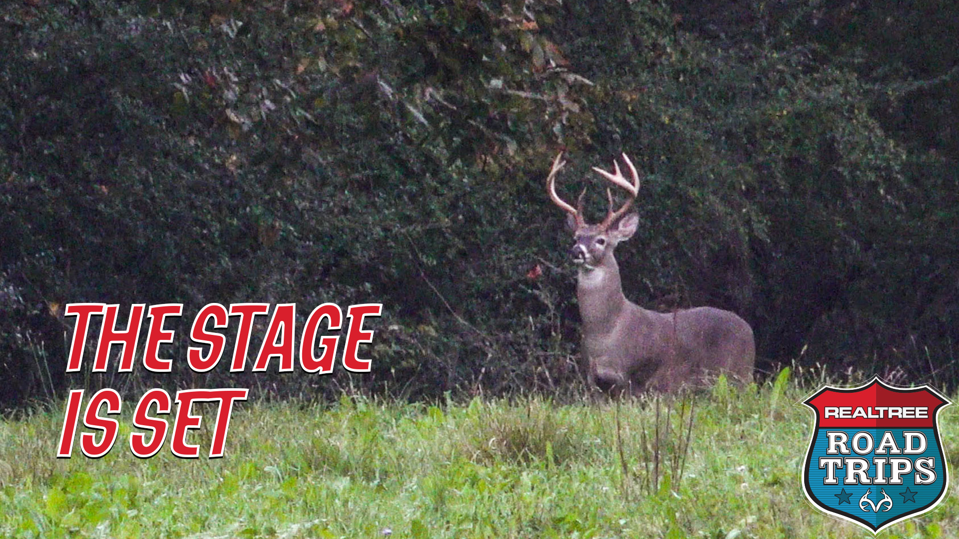 The Stage Is Set | Opening Day of the Alabama Deer Season | Realtree Road Trips
