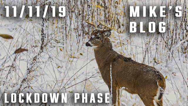 Mike's Blog: Urban Zone, Lockdown Phase