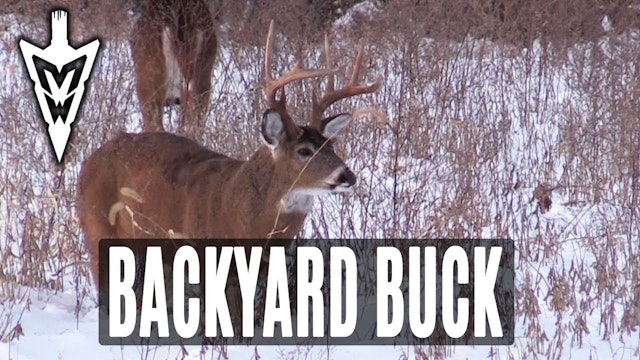 12-17-18: Two Shooter Bucks Behind the House | Midwest Whitetail