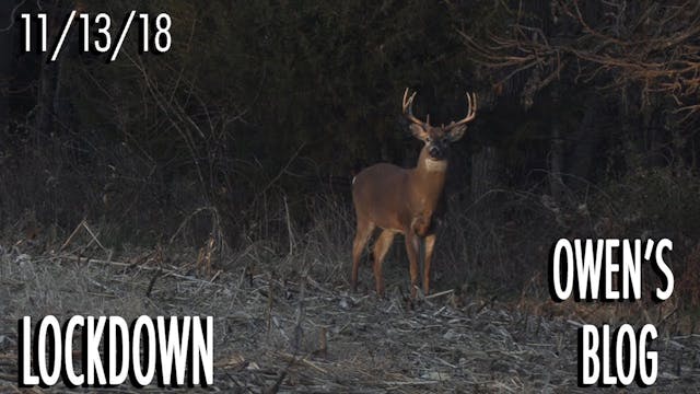 Owen's Blog: Looking for a New Buck