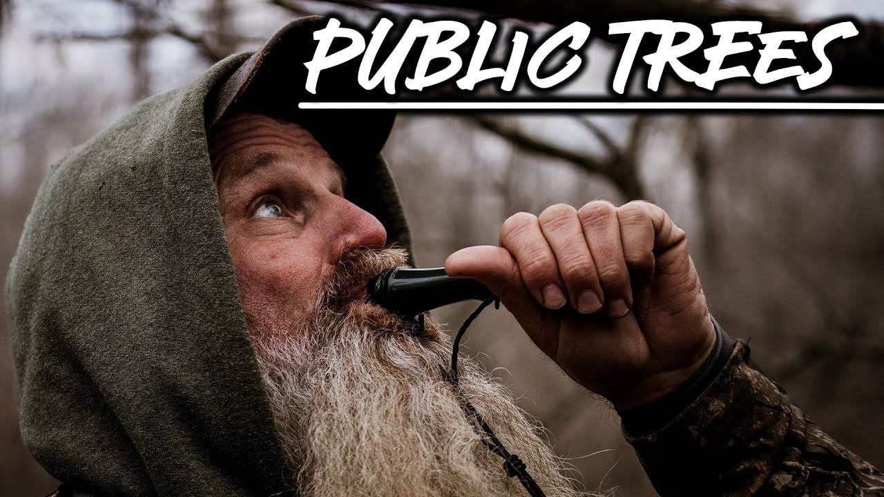 Beat Down From The Public Ground _ Dr Duck