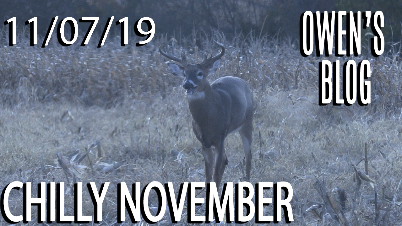 Owen's Blog: Chilly November