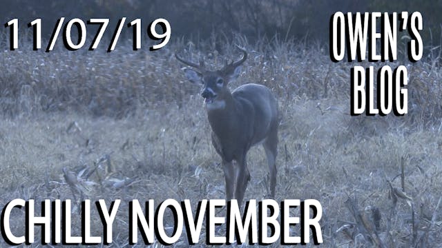 Owen's Blog: Chilly November