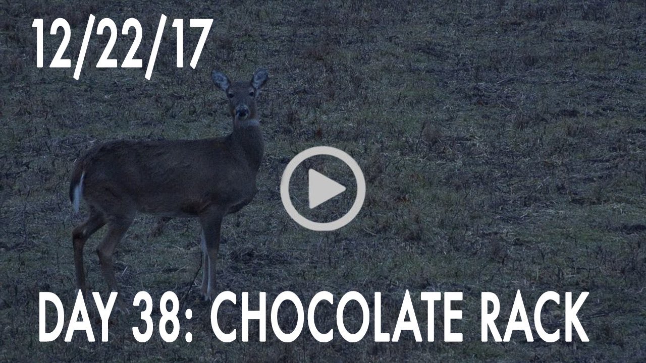 Winke Day 38: Chocolate Rack