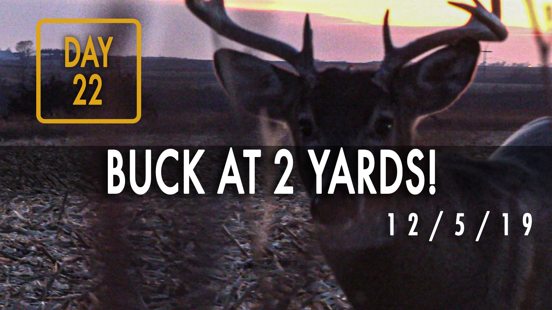 Jared Day 22: Ghillie Hunt, Buck Almost Steps On Cameraman