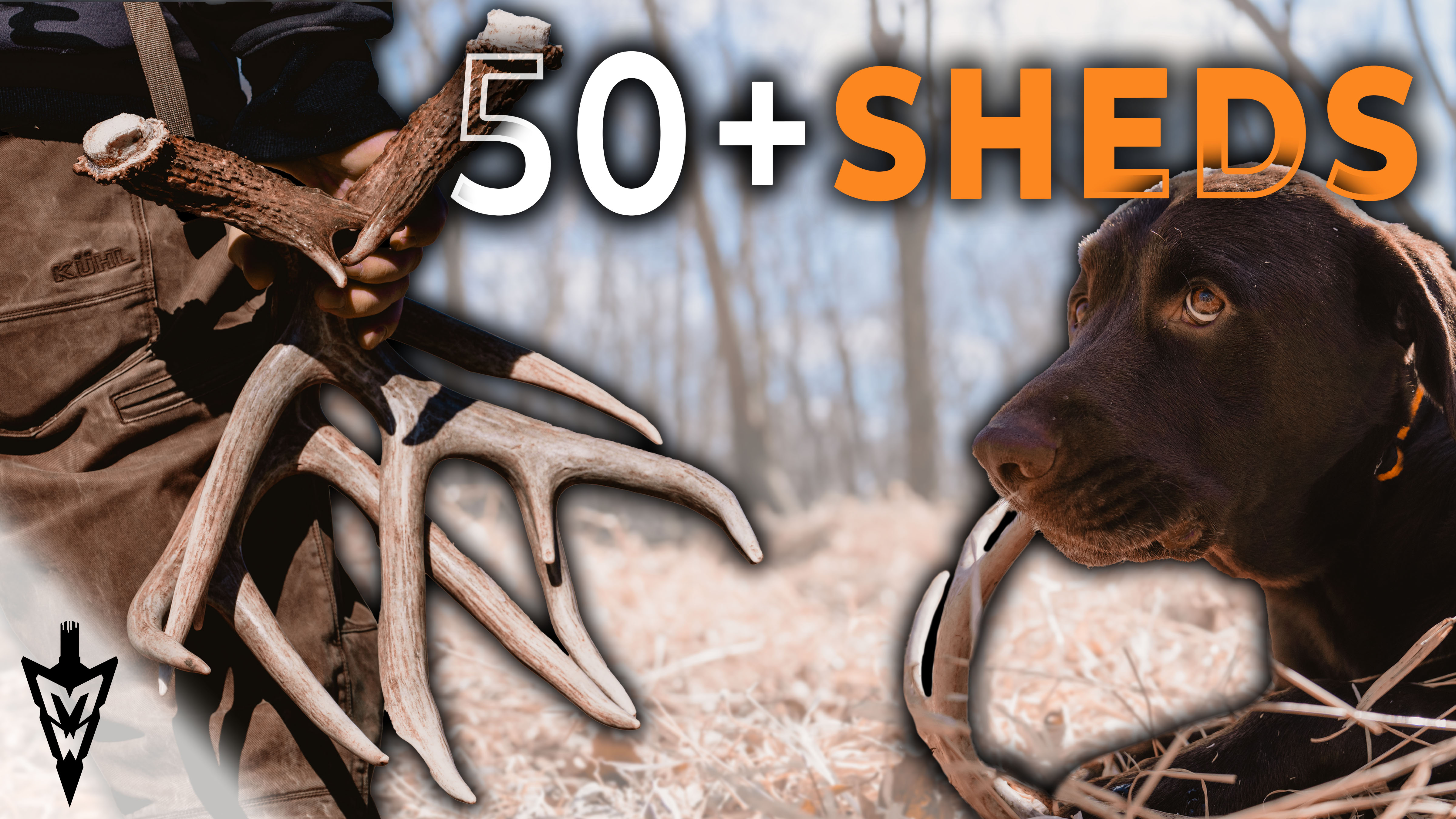 51 Antlers In A Day, The BEST River Farm Shed Hunt