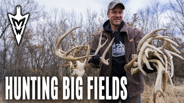 3-25-19: How to Hunt Big Fields, More...
