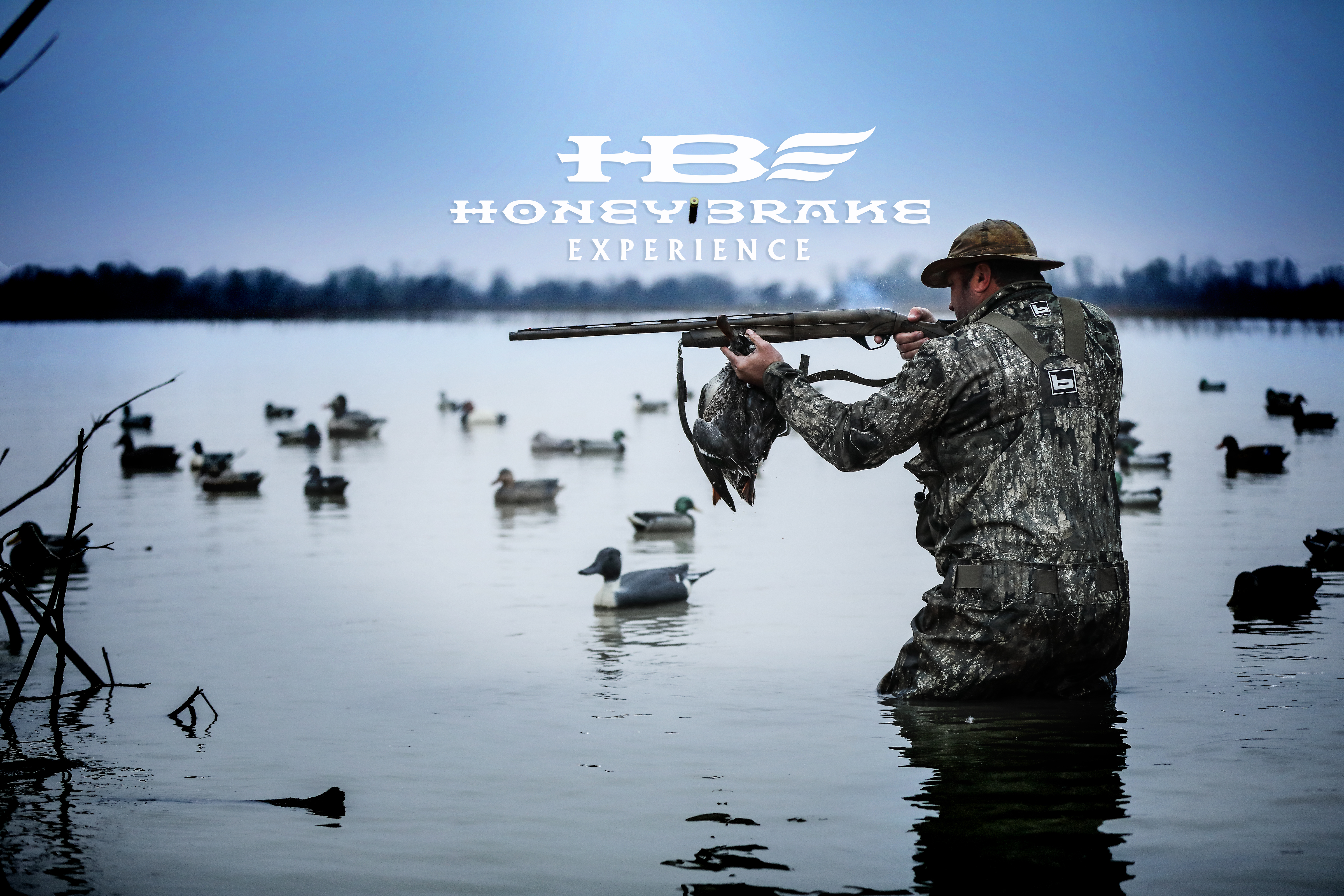 Honey Brake Experience